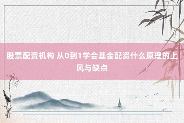 股票配资机构 从0到1学会基金配资什么原理的上风与缺点