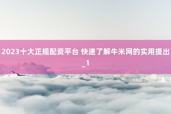2023十大正规配资平台 快速了解牛米网的实用提出_1