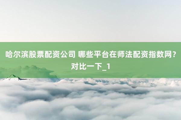 哈尔滨股票配资公司 哪些平台在师法配资指数网？对比一下_1