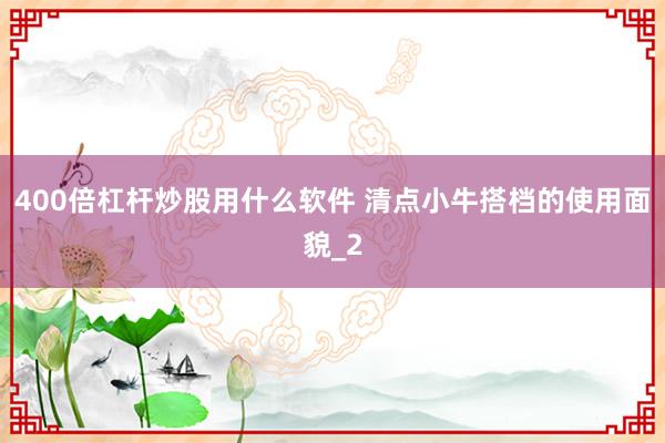 400倍杠杆炒股用什么软件 清点小牛搭档的使用面貌_2